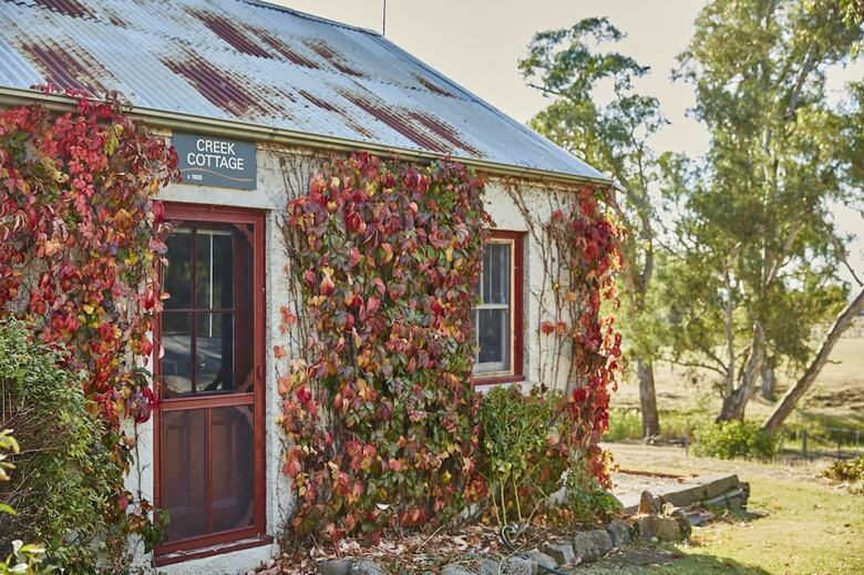 Lochinver Farm Homestead & Cottages