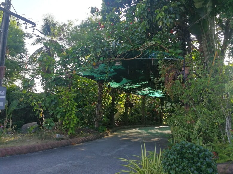 Hotel Palm Chalet Resort
