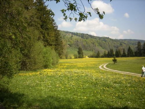 Hostal Gasthof J�gerhaus
