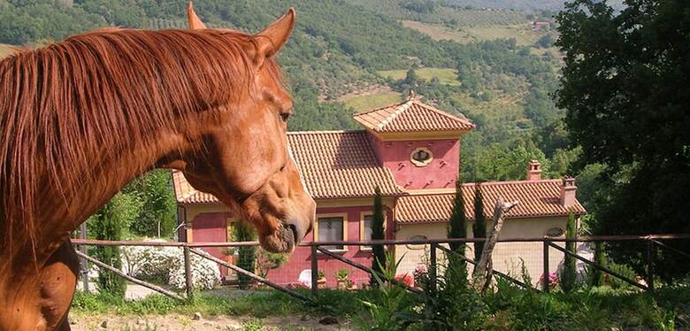 Apartamento I Tre Tigli - Casa Di Campagna