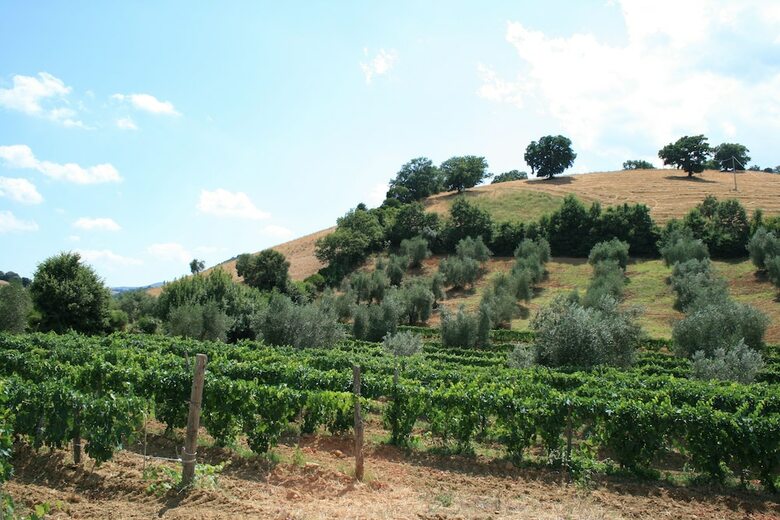 Agroturismo Agriturismo Serratone