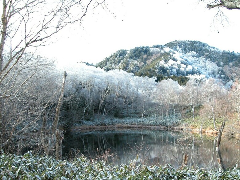 Hotel Shirakabaso Shiga Kogen