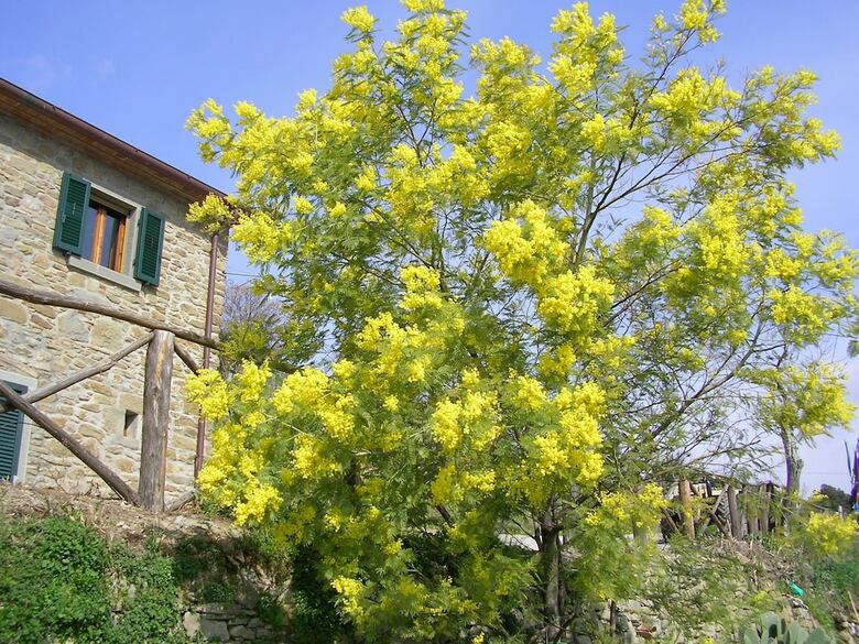 Agroturismo Agriturismo Casale Della Torre