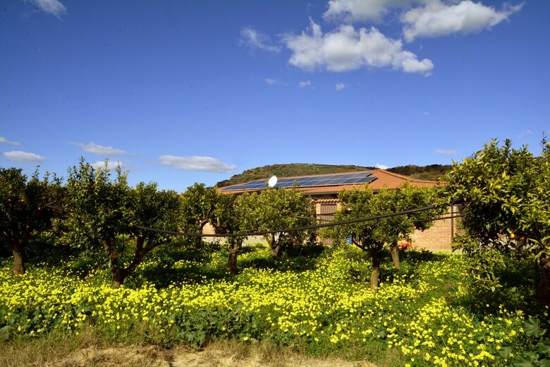 Agroturismo Agriturismo Le Terre Zo�