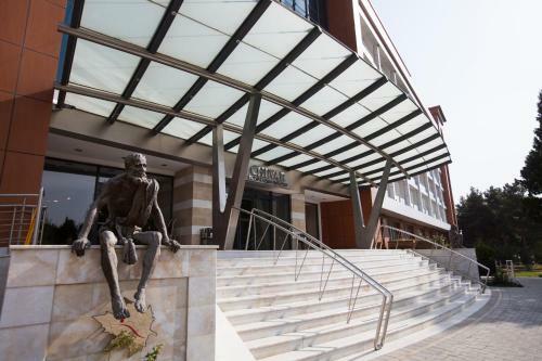Chinar Hotel & Spa