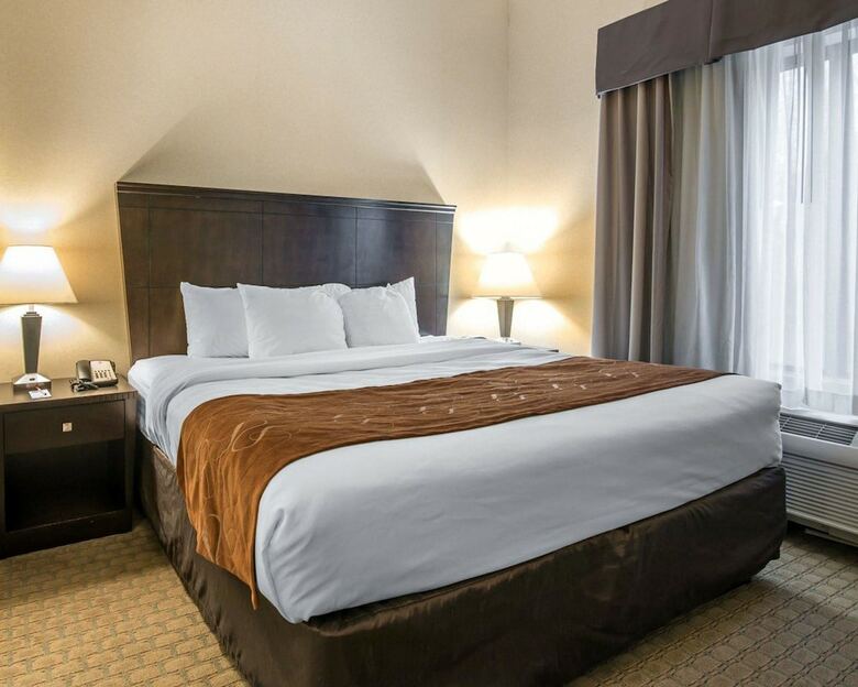 Hotel Comfort Suites Vestal Near University