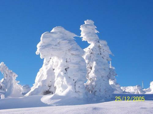 Hotel Brockenst�bchen