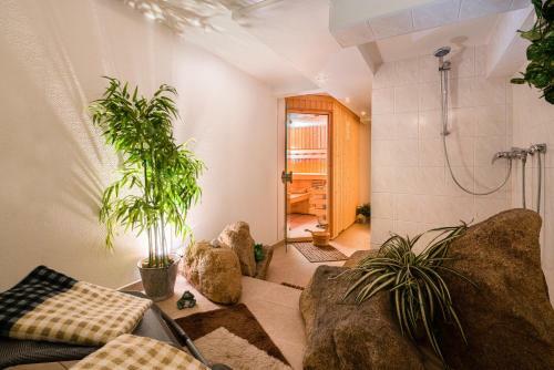 Hostal Pension Schmidt