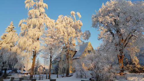 Hostal Pension Schmidt