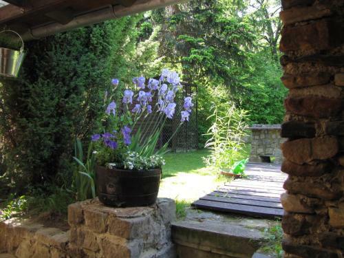 Ferienbungalow Koch