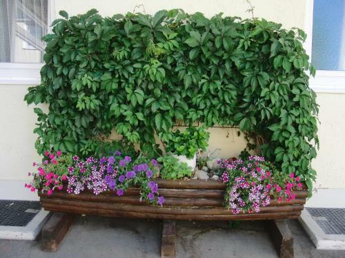 Hostal Haus Hildegard