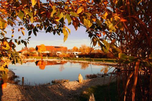 Hostal Kur- Und Feriencamping Max 1