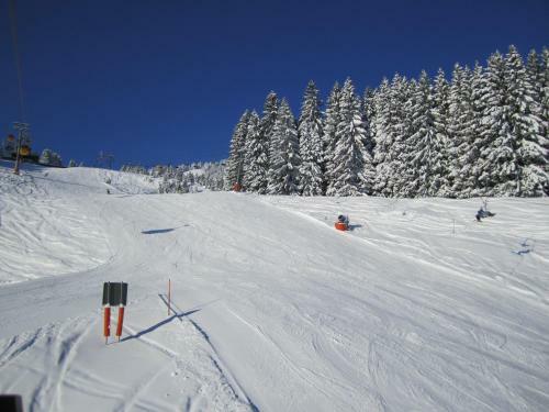 Hostal Gasthof Pension Riedbergerhorn