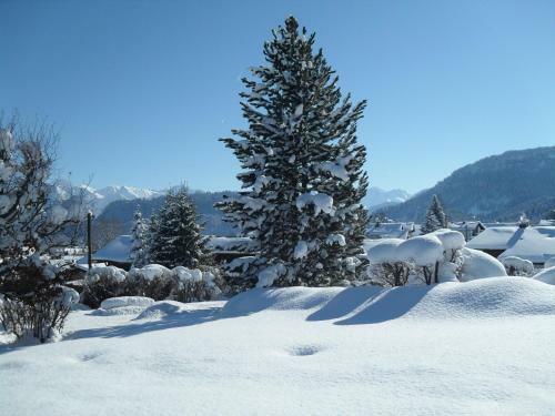 Apartamento Ferienhaus Riss