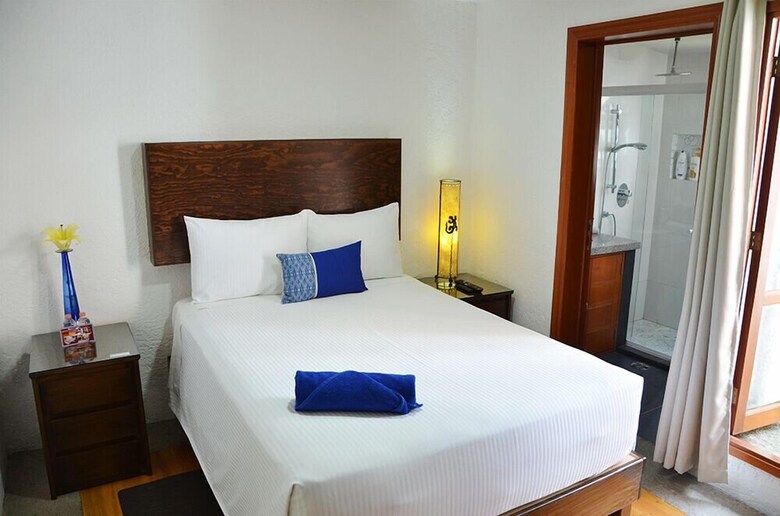 Bed & Breakfast Casa Coyoacan