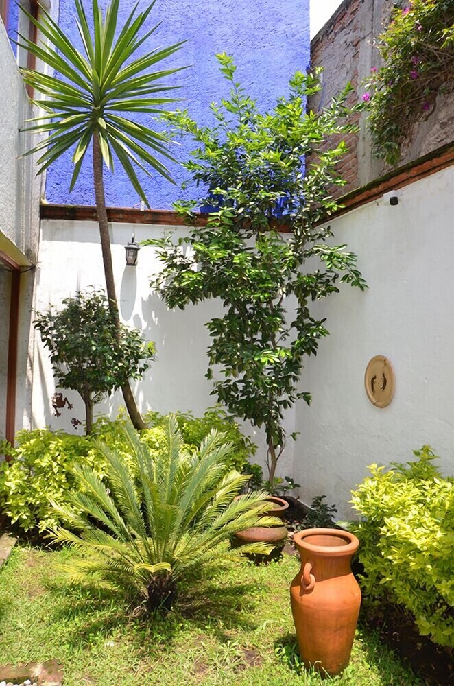 Bed & Breakfast Casa Coyoacan