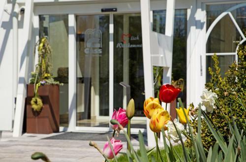 Apartmenthaus Gass