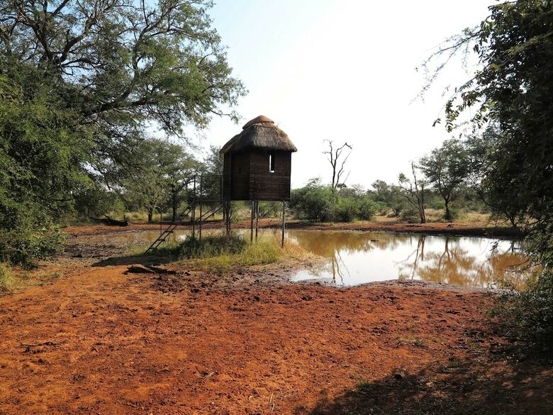Posada Zingela Nature Reserve - Leadwood Lodge