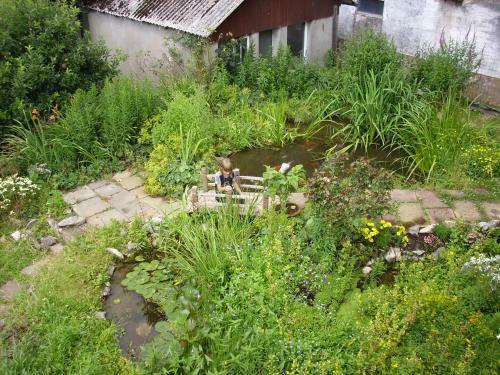 Agroturismo Willekes Bl�tenhof