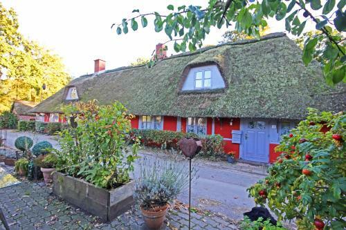 Apartamento Wohnungen Unter Reet