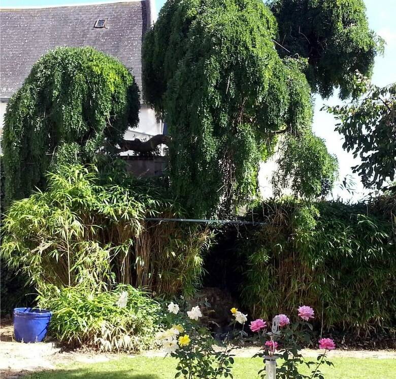 Hotel Les Franci�res