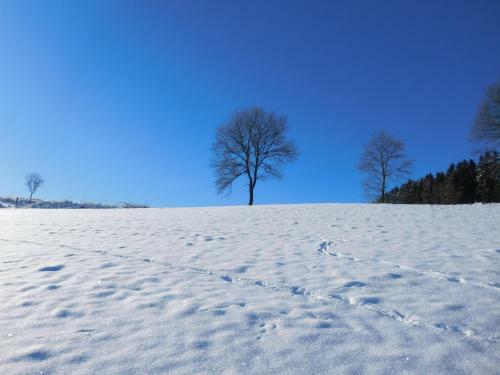 Apartamento Ferienbauernhof Familie Stratmann
