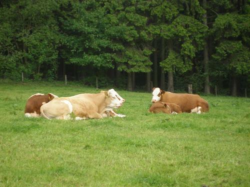 Agroturismo Ferienhof Hoppe