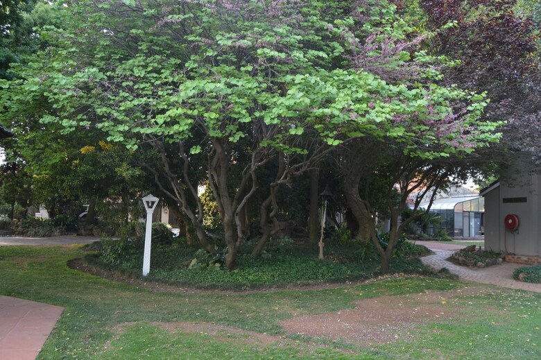 Airport Garden Boutique Hotel