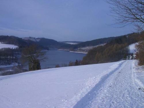 Holiday Home Im Rothlande Meschede Hennesee