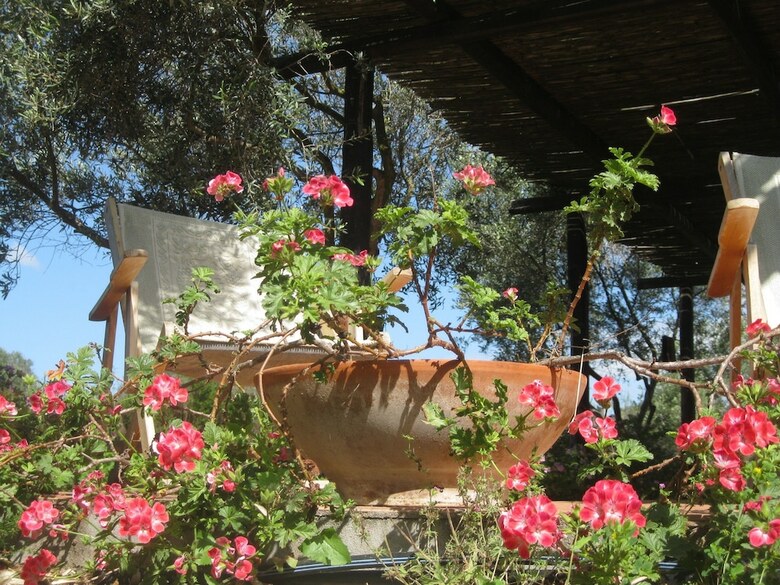 Bed & Breakfast Sa Ingia