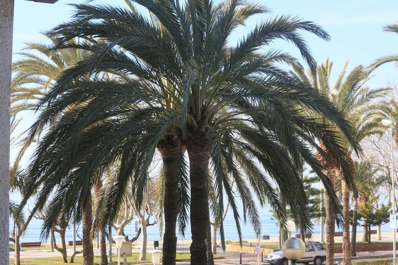 Apartamento Para 4 Personas En Cambrils