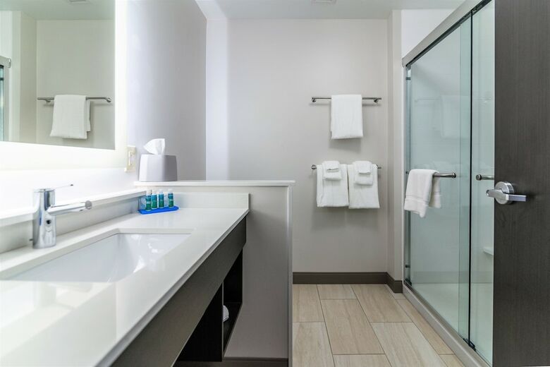 Hotel Holiday Inn Express & Suites Allen Park