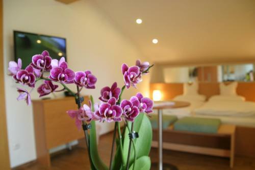 Hotel-restaurant Bellevue