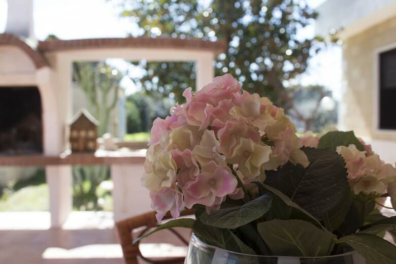 Bed & Breakfast Terradamare
