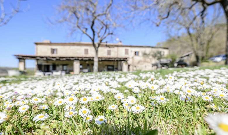 B&B Le Bumbarelle