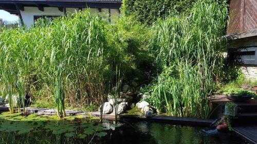 Hostal G�stehaus Tanneck