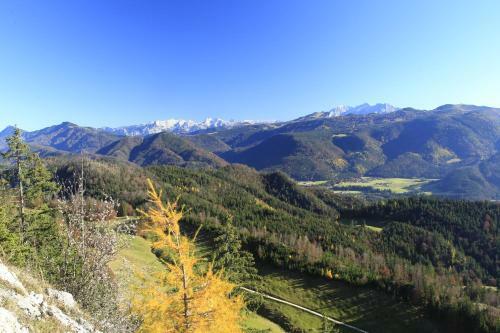 Hostal G�stehaus M�nchner Hof