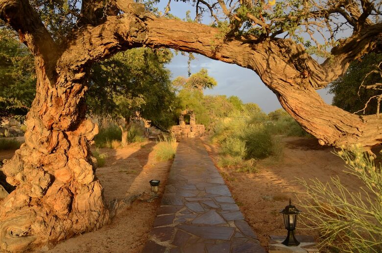 Posada Canyon Lodge