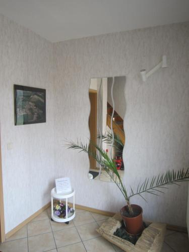 Hostal Pension Belau's Hof