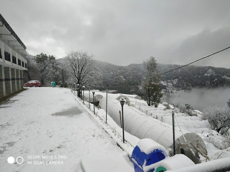 Hotel Mountain View Resort