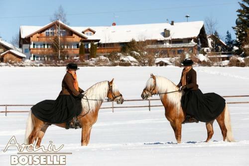 Agroturismo Haflingerhof