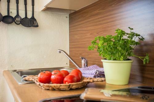 Apartamentos G�stehaus Herb