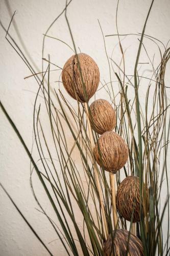 Apartamentos G�stehaus Herb
