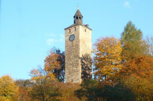 Hostal Gasthaus Merkel Hotel