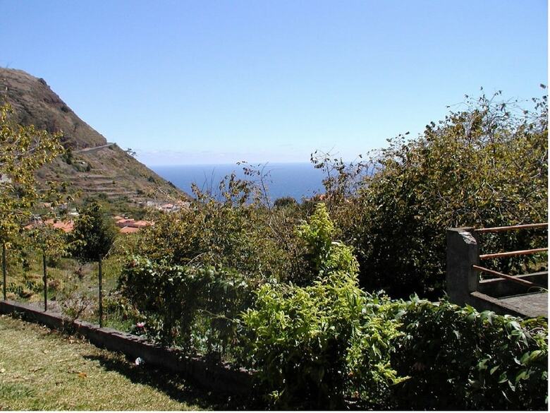 Traditional Madeira Cottage - Etc Madeira