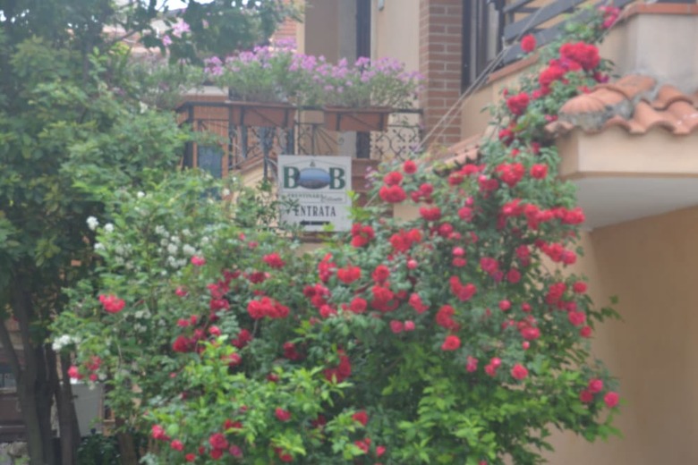 Bed & Breakfast Trentinara Cilento