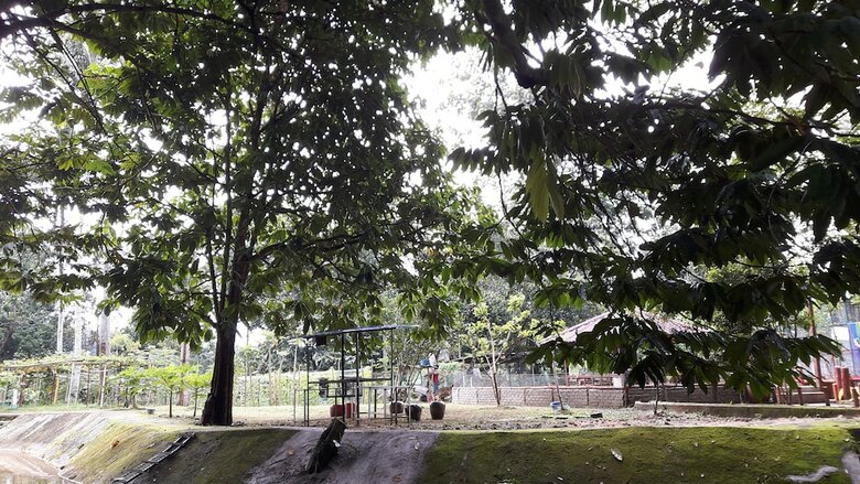 Hotel Kampung Janda Baik