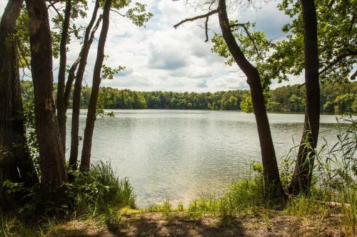 Waldsee Hotel Am Wirchensee