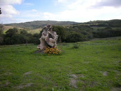 Agroturismo Country House Vignola Mare
