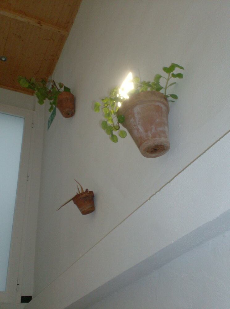 Hostal Rural Roc�o
